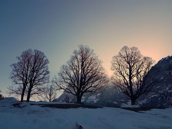 Bare trees on snow covered land against sky