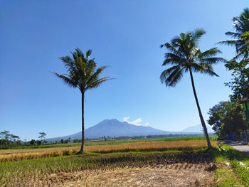 Scenic view of mountains against clear sky