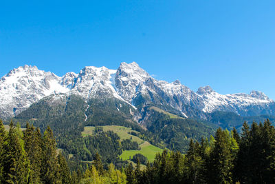 Scenic view of snowcapped mountains against clear blue sky