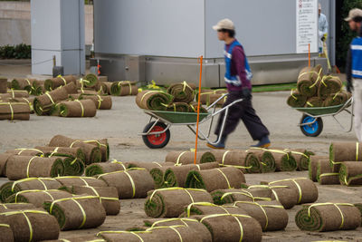 High angle view of man working in yard