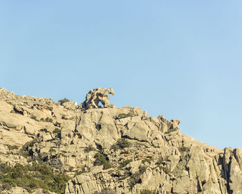 Low angle view of a rock