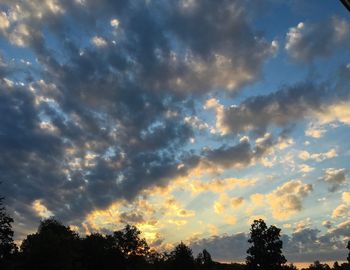 Silhouette of trees against cloudy sky