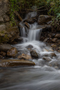 Scenic view of waterfall in forest