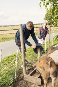Farmer standing besides woman feeding pigs at farm