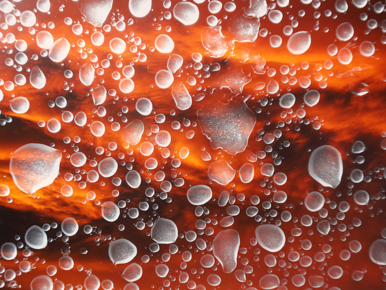 FULL FRAME SHOT OF WATER DROPS ON ORANGE