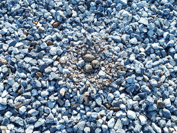 Full frame shot of pebbles on beach