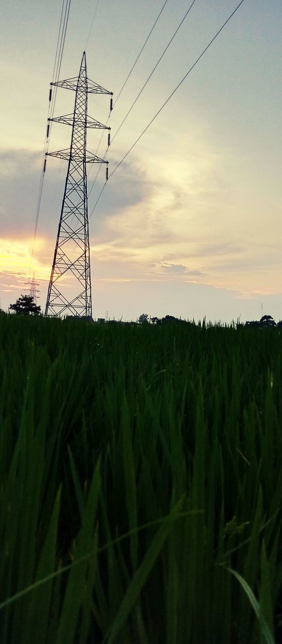 electricity, sky, technology, cable, power generation, electricity pylon, landscape, power supply, field, plant, agriculture, nature, land, environment, rural scene, sunset, power line, grass, crop, cloud, no people, sunlight, growth, cereal plant, beauty in nature, scenics - nature, outdoors, overhead power line, prairie, wind, tranquility, horizon, dusk, silhouette, green, farm, tranquil scene, outdoor structure, rural area, environmental conservation