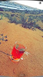 Red wine on beach