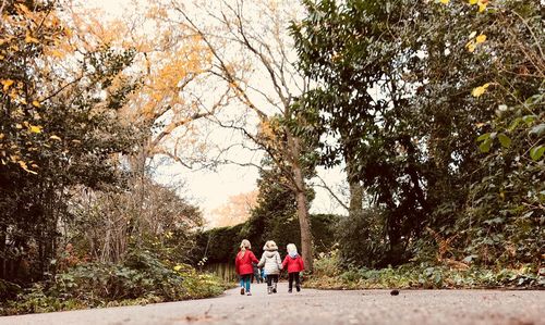 Rear view of people walking in forest