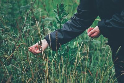 Midsection of woman touching plants