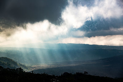 Panoramic view of forest against sky