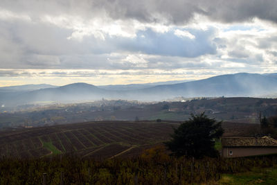 Scenic view of agricultural field against sky