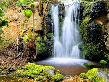 Scenic view of waterfall in forest