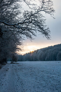 Scenic view of snow covered landscape against sky during sunset