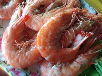 High angle view of fish for sale in market