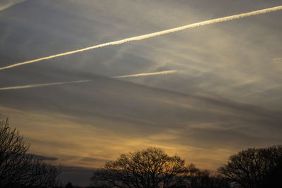 Low angle view of silhouette trees against sky at sunset