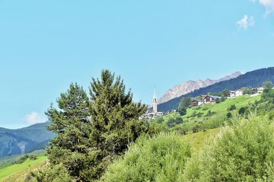 Scenic view of tree mountains against clear sky