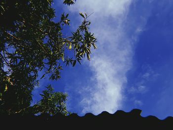 Low angle view of silhouette trees against blue sky