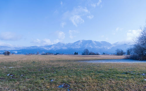 Scenic view of field against sky