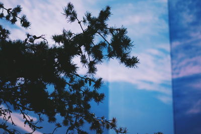 Low angle view of trees against blue sky