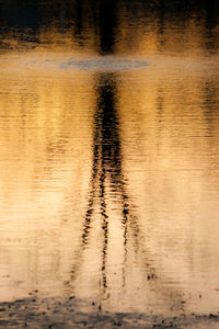 View of duck in lake