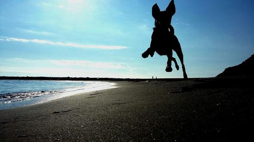 Silhouette man on beach against blue sky