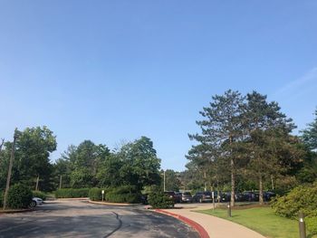 Road by trees against blue sky