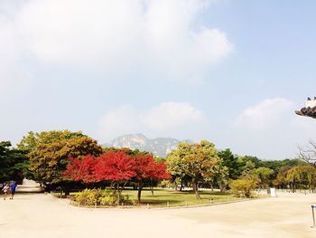 Scenic view of trees on landscape against sky