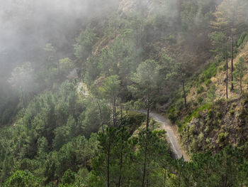 Hiking on madeira island