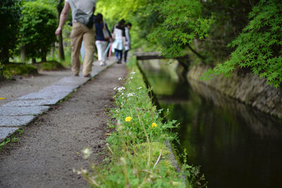 Rear view of people walking on footpath in park