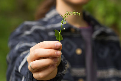 Woman's hand holds a green sprout of bird cherry tree with buds and leaf. environment concept.