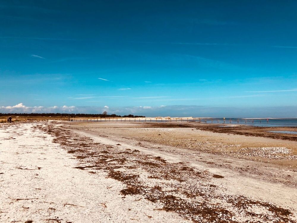 SCENIC VIEW OF BEACH