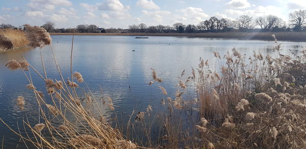 Scenic view of lake against sky