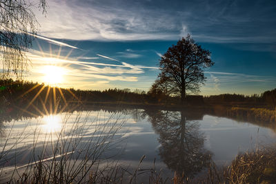 reflection