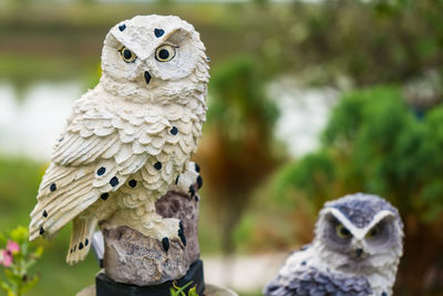 Close-up of owl statue against blurred background