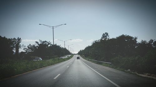 Cars moving on road amidst trees