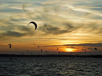 Kite during sunset 