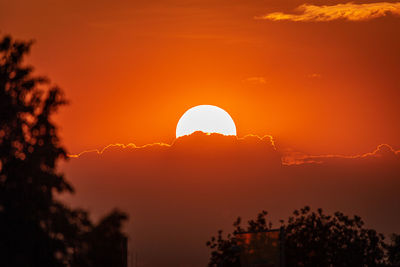 Scenic view of silhouette trees against romantic sky at sunset