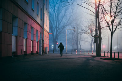 Rear view of person walking in city at night