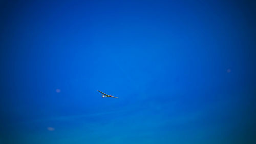 Airplane flying in sky