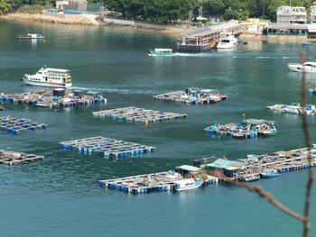 High angle view of boats moored in harbor