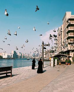 Birds flying over water against sky