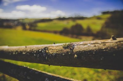 Close-up of barbed wire on wooden post on field