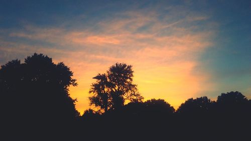 Silhouette trees in forest against sky at sunset