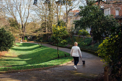 Rear view of woman walking on footpath in park