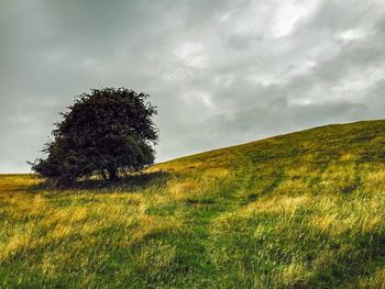 Scenic view of grassy field against cloudy sky