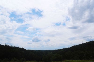 Low angle view of trees against sky