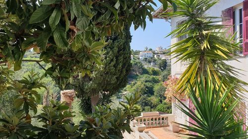 Trees and plants growing outside house against sky