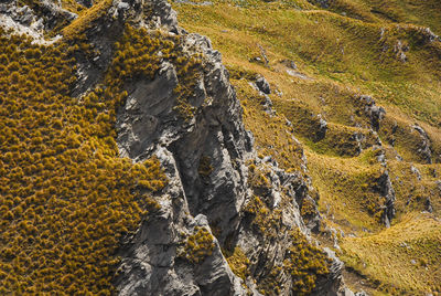 High angle view of water flowing through rocks