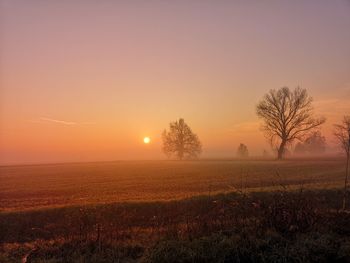 Scenic view of field against sky during sunset